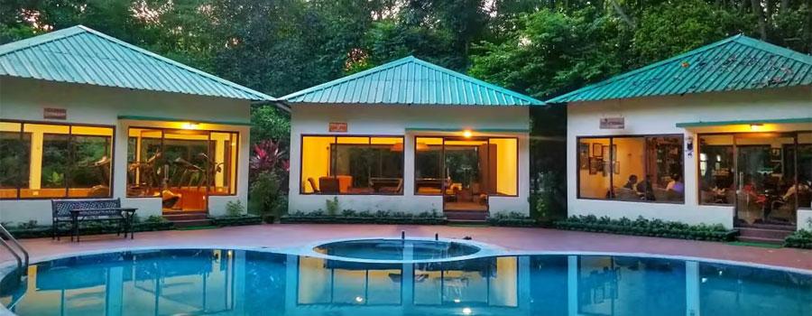 The Riverwood Forest Retreat