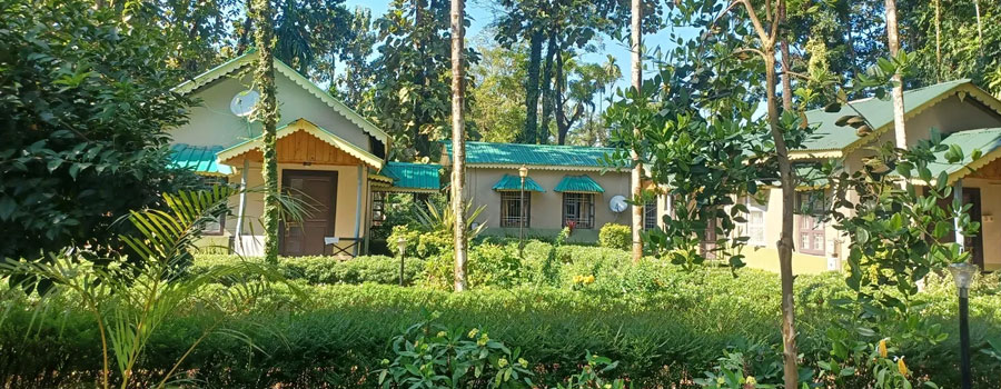 Tusker Den Forest Resort